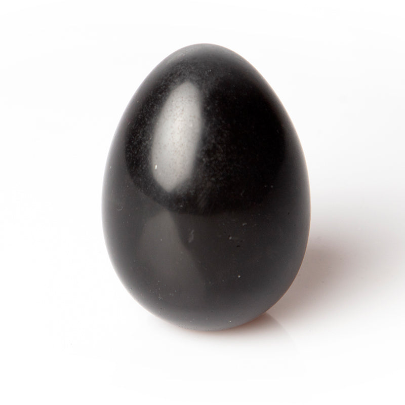 Shungite orgonite egg
