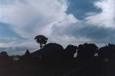 The question of reach